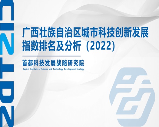 男人插女人屁股下面免费视频【成果发布】广西壮族自治区城市科技创新发展指数排名及分析（2022）